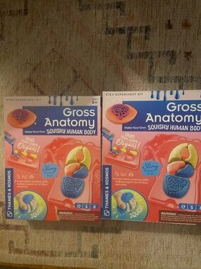 Thames & Kosmos Gross Anatomy Kit - Pink & Blue